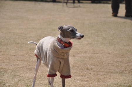 DSC_0369.JPG