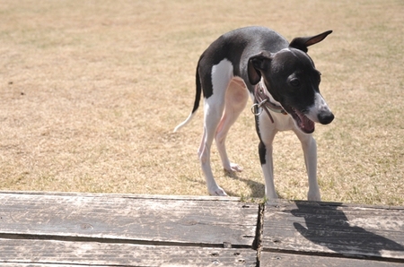 DSC_0434.JPG